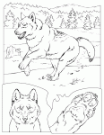 animaux pour les grands