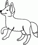 animaux de la foret