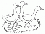animaux de la ferme