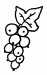 coloriages de groseilles