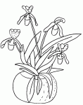 coloriages de fleurs et plantes