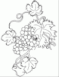 coloriages de raisin