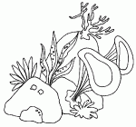 coloriages de algues