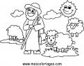 coloriage mouton 55