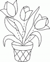 coloriage tulipe 08