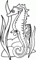 coloriage hippocampe 11
