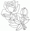 coloriage rose 14