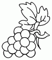 coloriage raisin 06