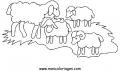 coloriage mouton 56