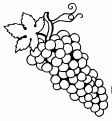 coloriage raisin 17