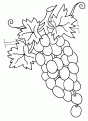 coloriage raisin 09