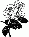 coloriage magnolia 05