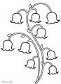 coloriage-gratuit muguet premier-mai