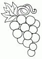 coloriage raisin 18