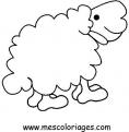 coloriage mouton 33