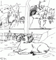 coloriage les animaux du zoo 21