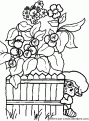 coloriage Charlotte aux fraises 64