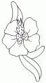 coloriage orchidee 01