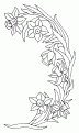coloriage jonquille 07