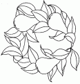 coloriage poire 12