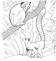 coloriage les animaux du zoo 24