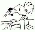 coloriage coq 11