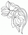 coloriage tulipe 09