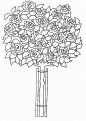 coloriage rose 18