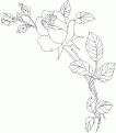 coloriage rose 03