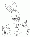 coloriage lapin 22