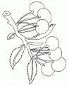 coloriage cerise 11