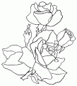 coloriage rose 07