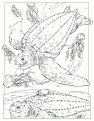 leatherback