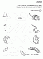 Apprendre tout avec les aminaux 002