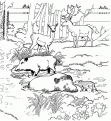 coloriage les animaux du zoo 20