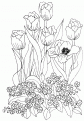 coloriage tulipe 19