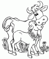 coloriage vache 01