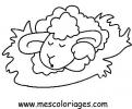 coloriage mouton 44
