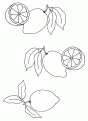 coloriage citron 03