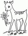 coloriage faon 07
