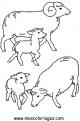 coloriage mouton 52