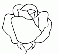 coloriage rose 09
