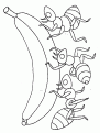coloriage banane 02