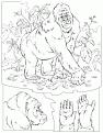 gorilla