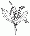 coloriage muguet 08