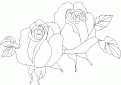 coloriage rose 05