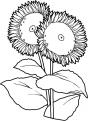 coloriage fleur 03