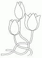 coloriage tulipe 16