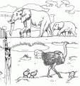 coloriage les animaux du zoo 04