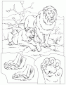 lions